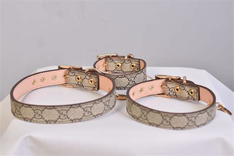 hundehalsband gucci|Gucci Dog Collar Hundehalsband Collier de chien – BrandPet.